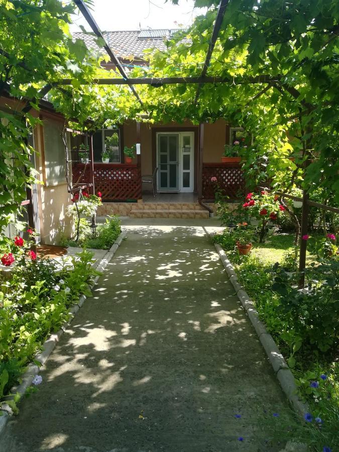 Casa Badea Otel Murighiol Dış mekan fotoğraf