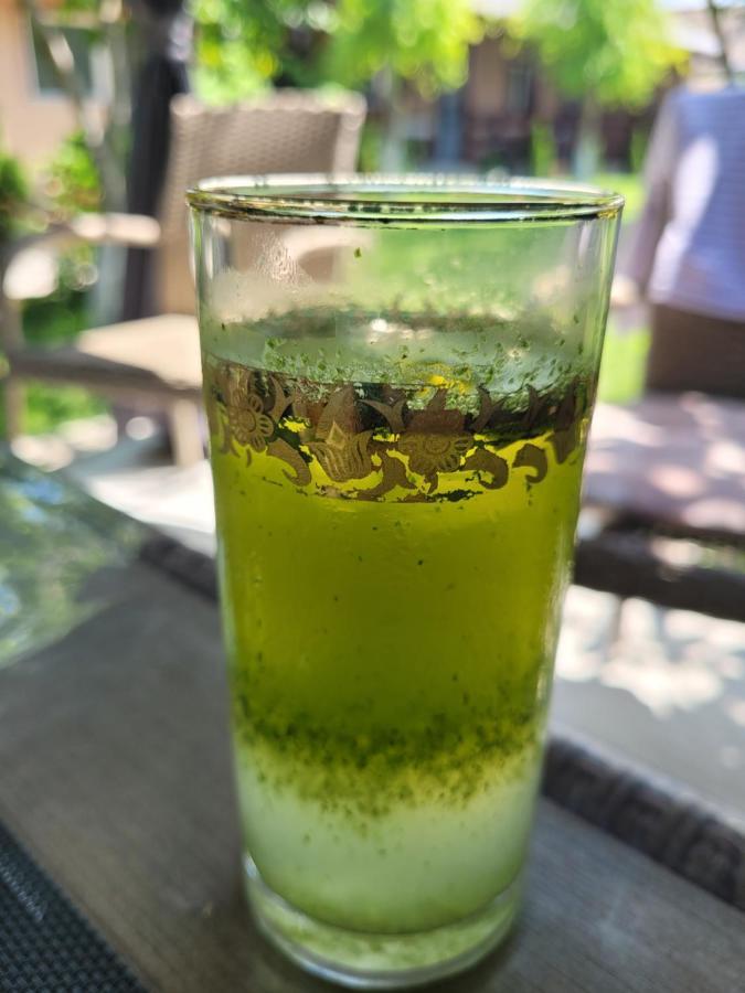 Casa Badea Otel Murighiol Dış mekan fotoğraf