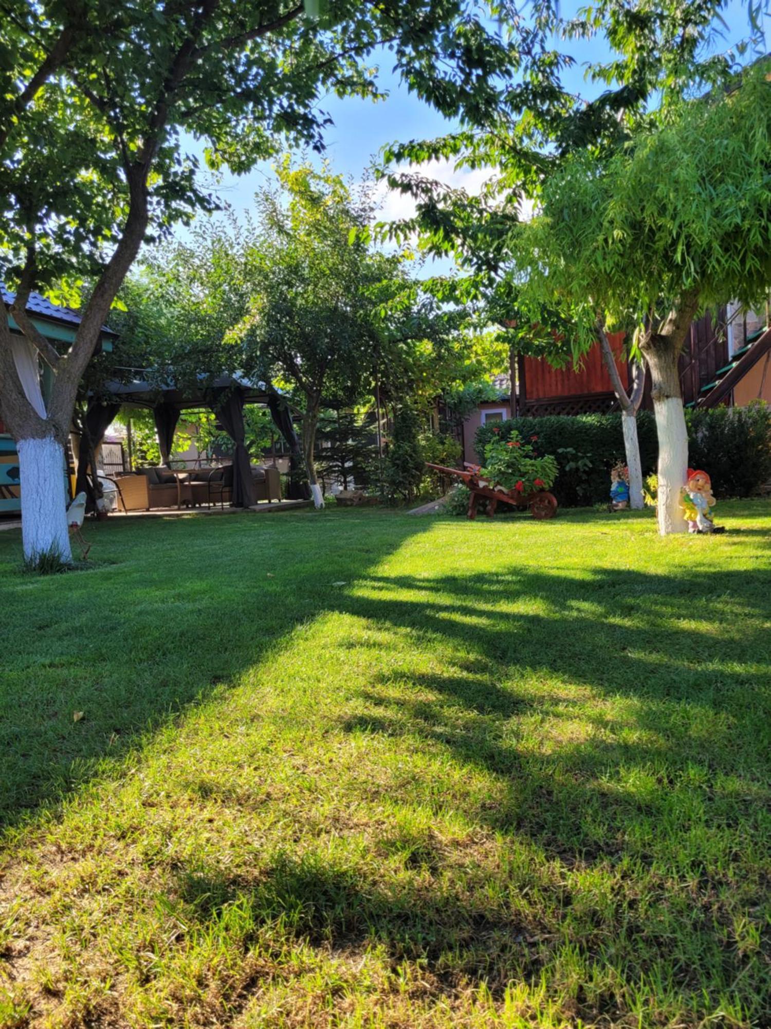 Casa Badea Otel Murighiol Dış mekan fotoğraf
