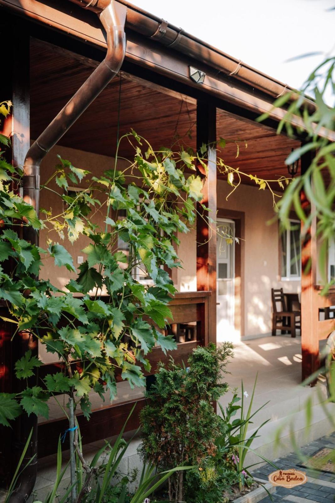 Casa Badea Otel Murighiol Dış mekan fotoğraf