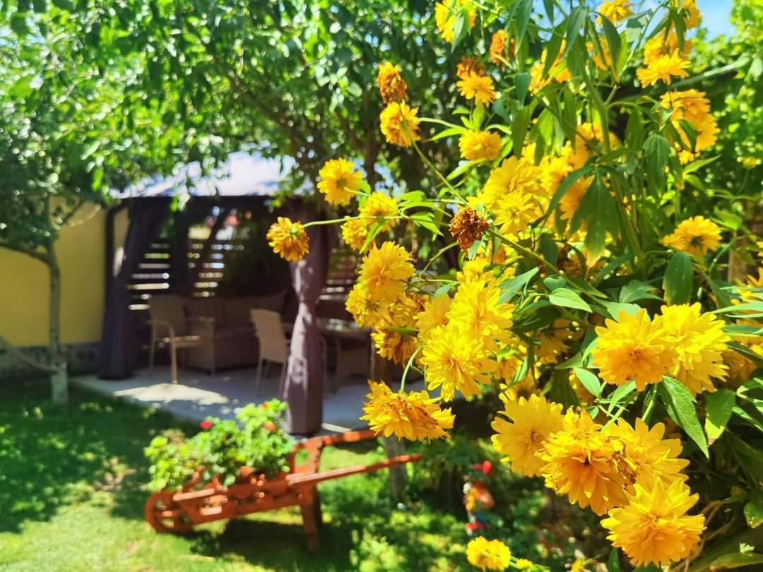 Casa Badea Otel Murighiol Dış mekan fotoğraf
