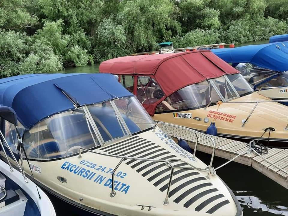 Casa Badea Otel Murighiol Dış mekan fotoğraf